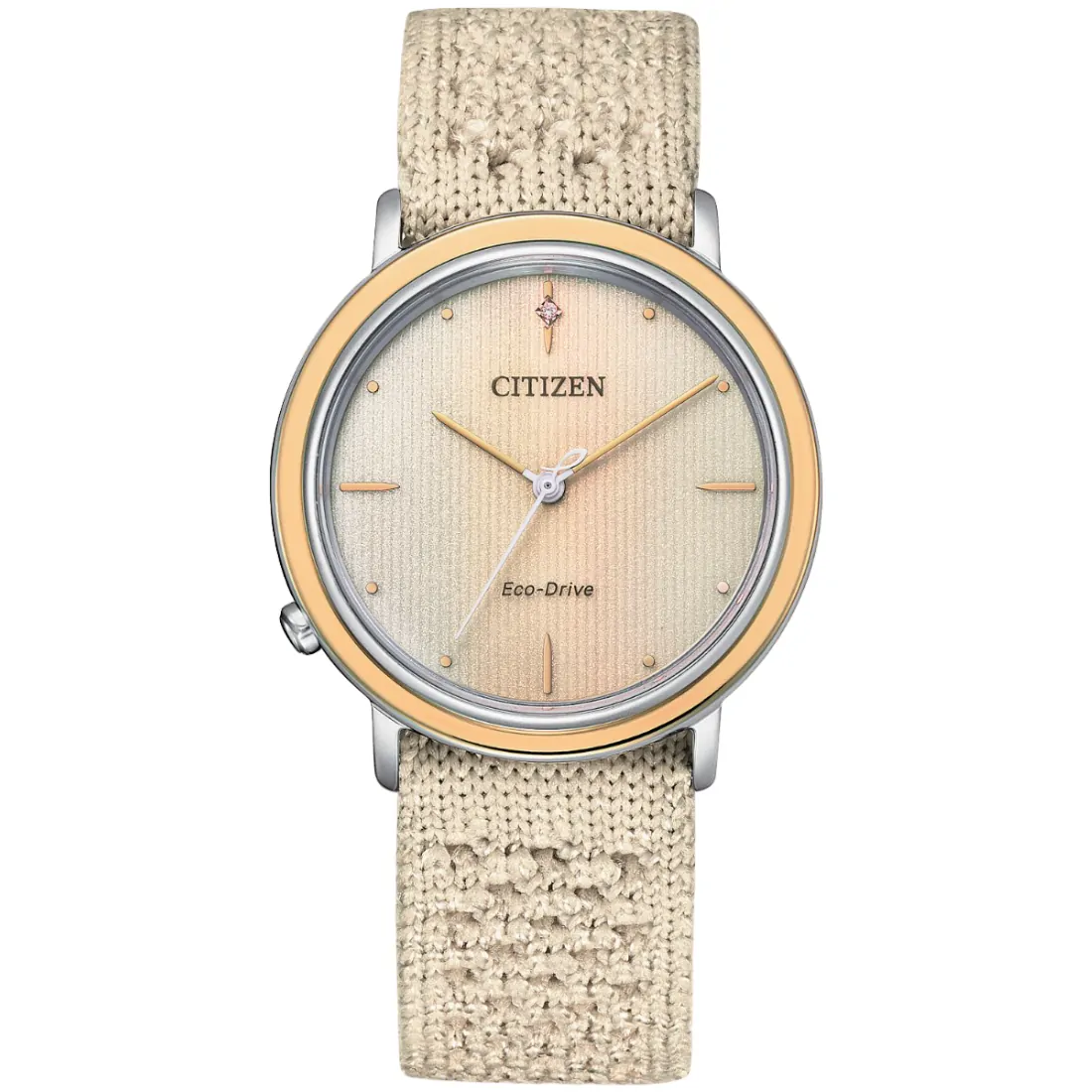 Reloj Citizen Ecosphere EM1006-07A