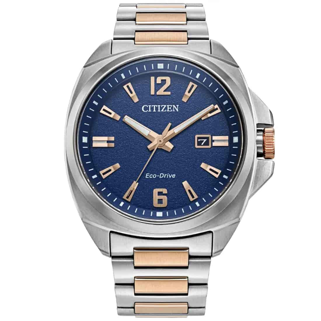 Reloj Citizen Endicott AW1726-55L