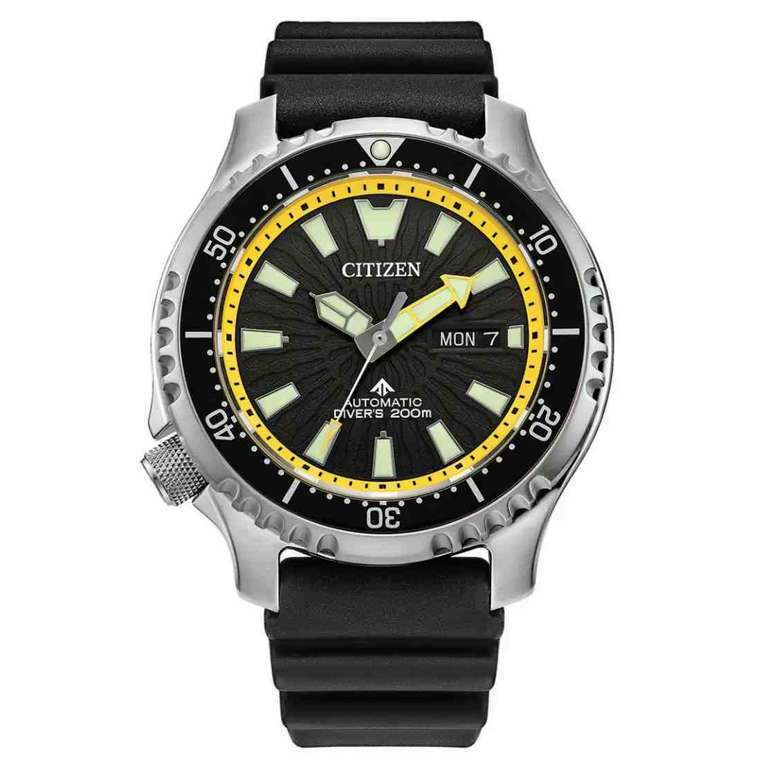 Citizen Promaster