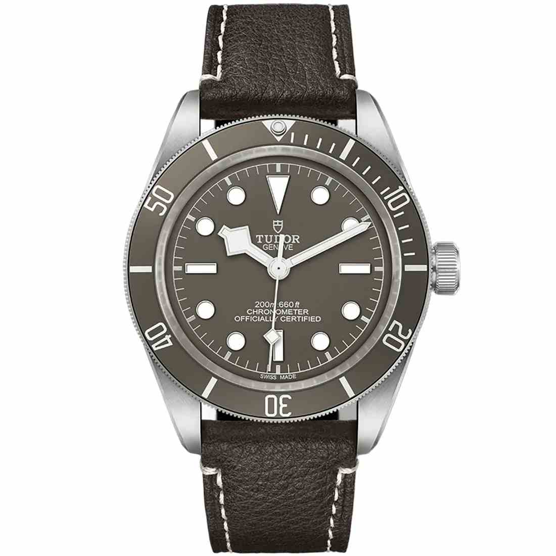 Reloj Tudor Black Bay 58 925 M79010SG-0001