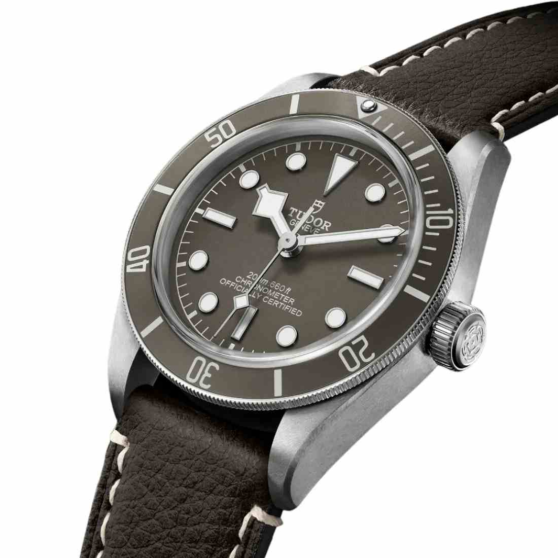 Reloj Tudor Black Bay 58 925 M79010SG-0001