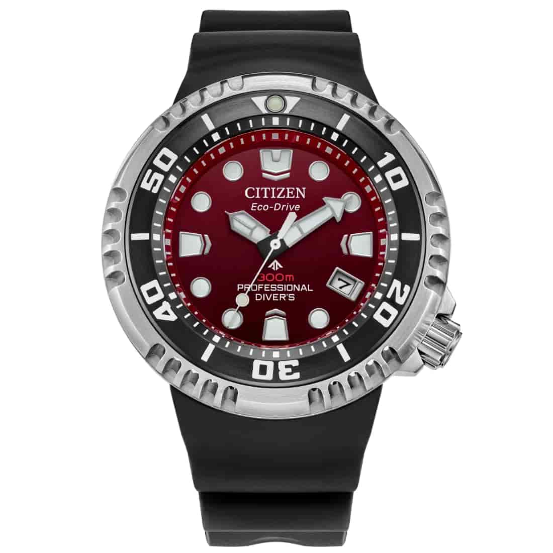 Reloj Citizen Promaster Dive E365 BN1024-01Z