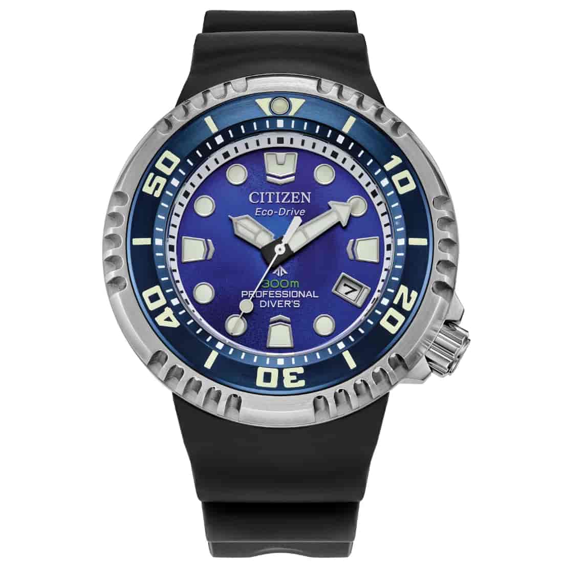 Reloj Citizen Promaster Dive E365 BN1025-08L