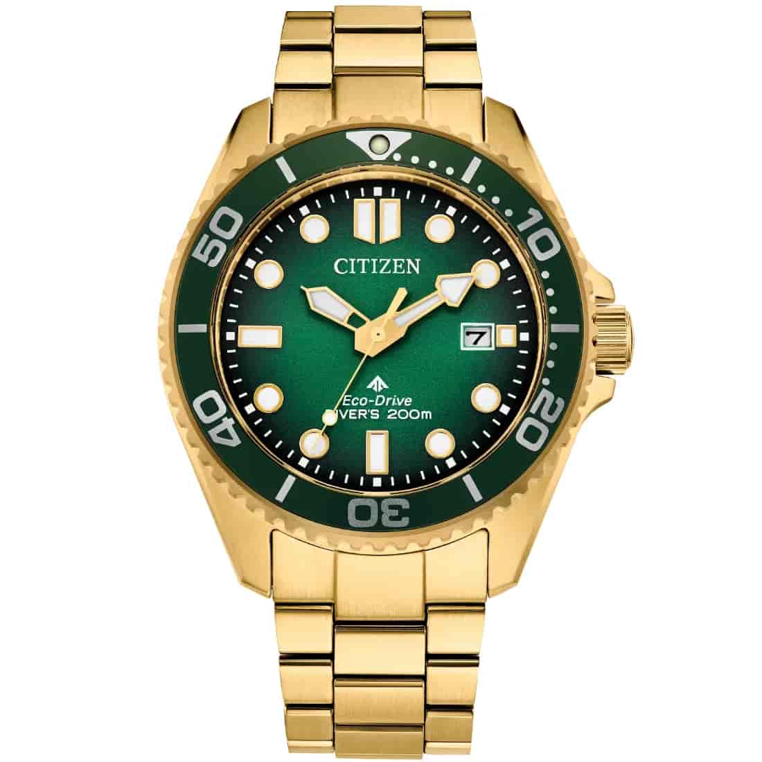Reloj Citizen Promaster Dive BN0262-59W