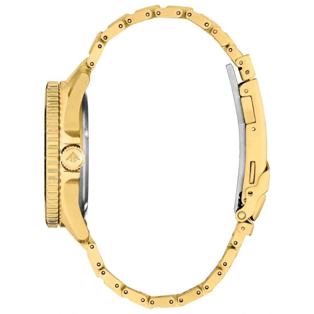 Reloj Citizen Promaster Dive BN0262-59W