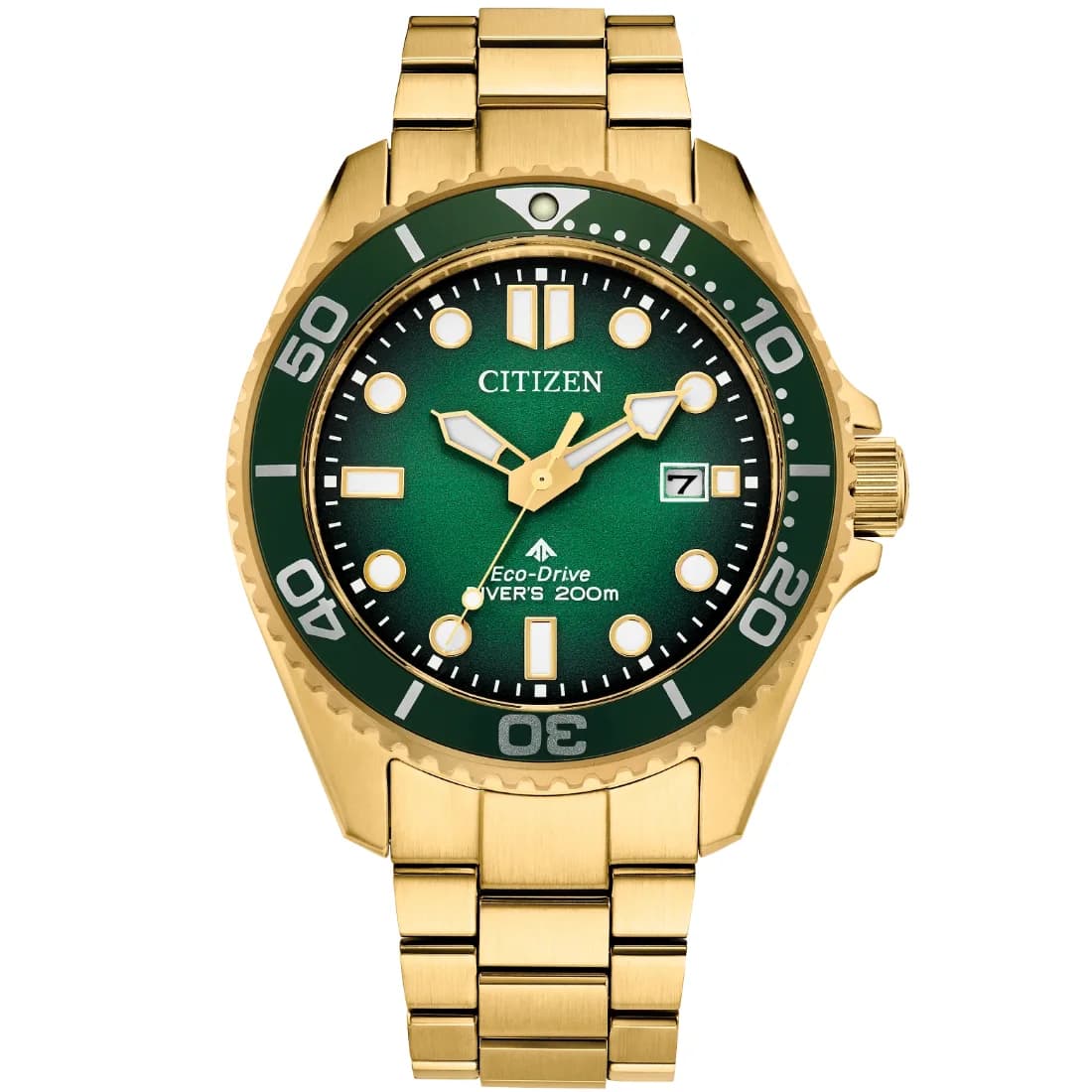 Reloj Citizen Promaster Dive BN0262-59W