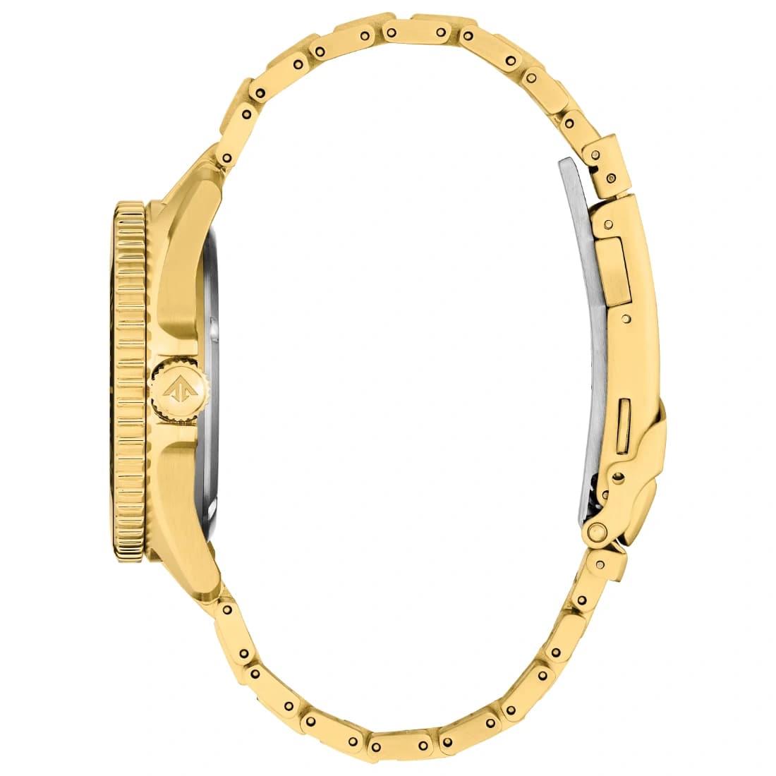 Reloj Citizen Promaster Dive BN0262-59W